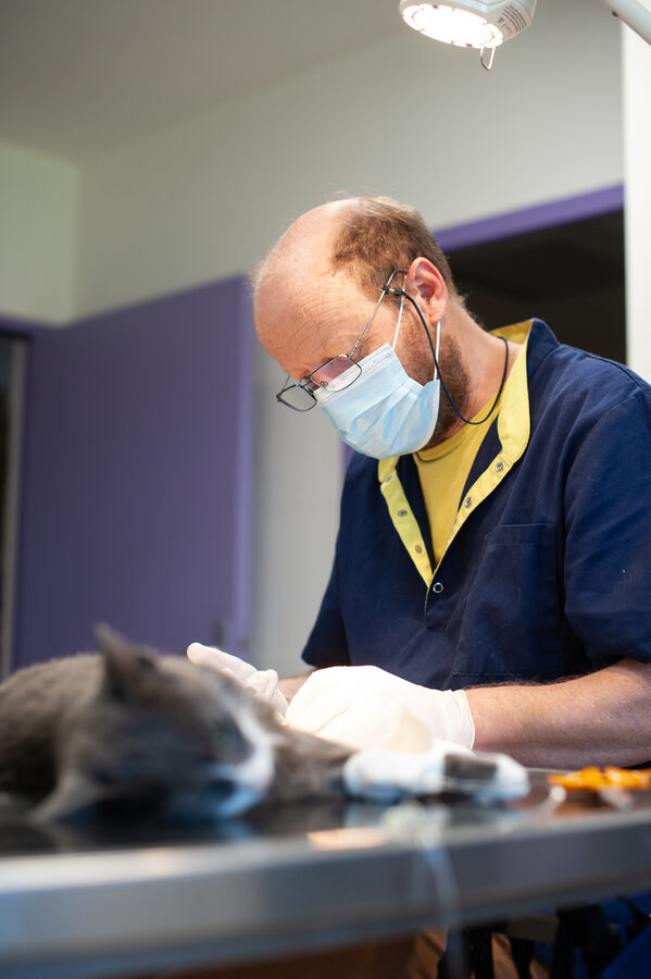 Cabinet vétérinaire de Capdenac