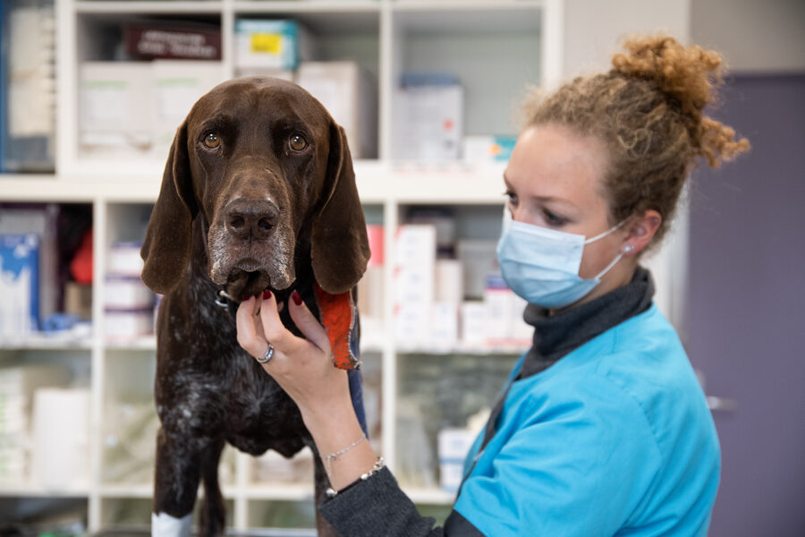 Cabinet vétérinaire de Capdenac