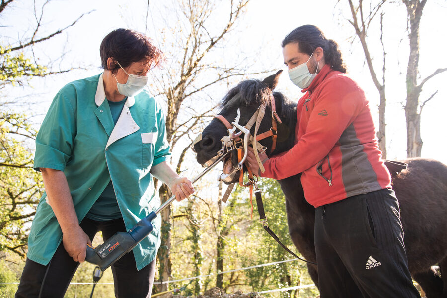 Cabinet vétérinaire de Capdenac