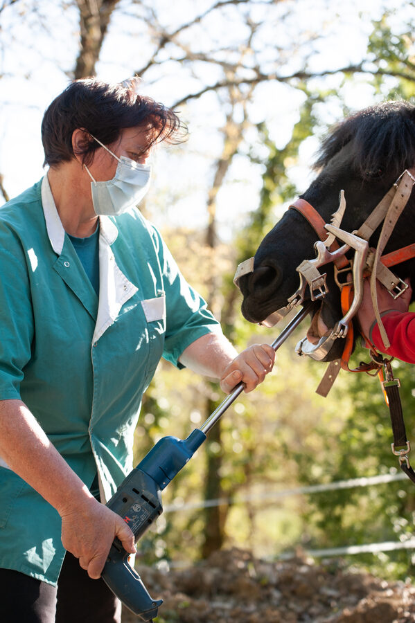 Cabinet vétérinaire de Capdenac
