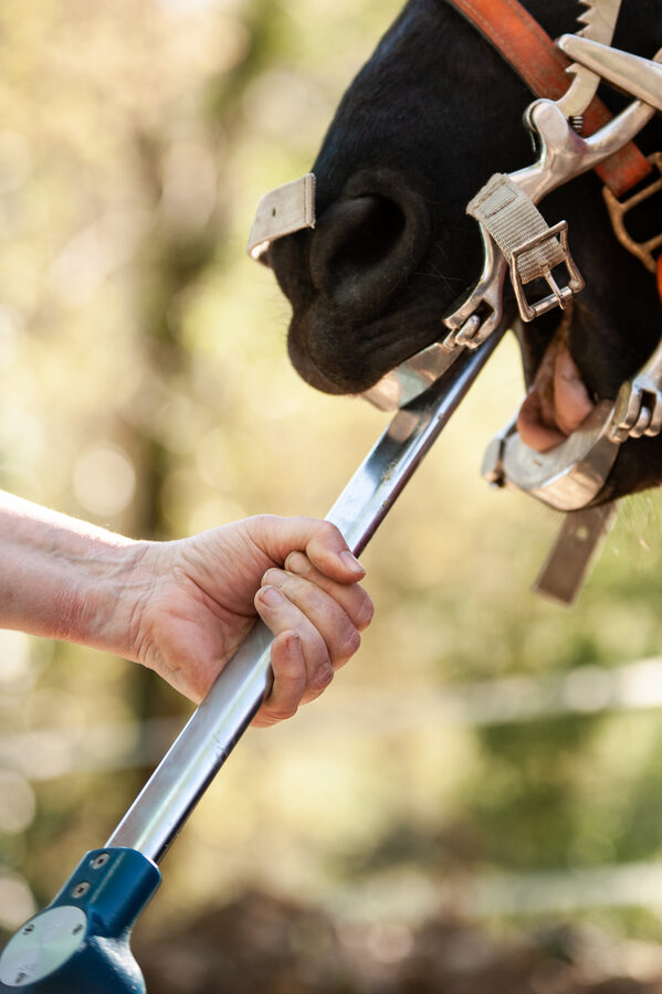 Cabinet vétérinaire de Capdenac