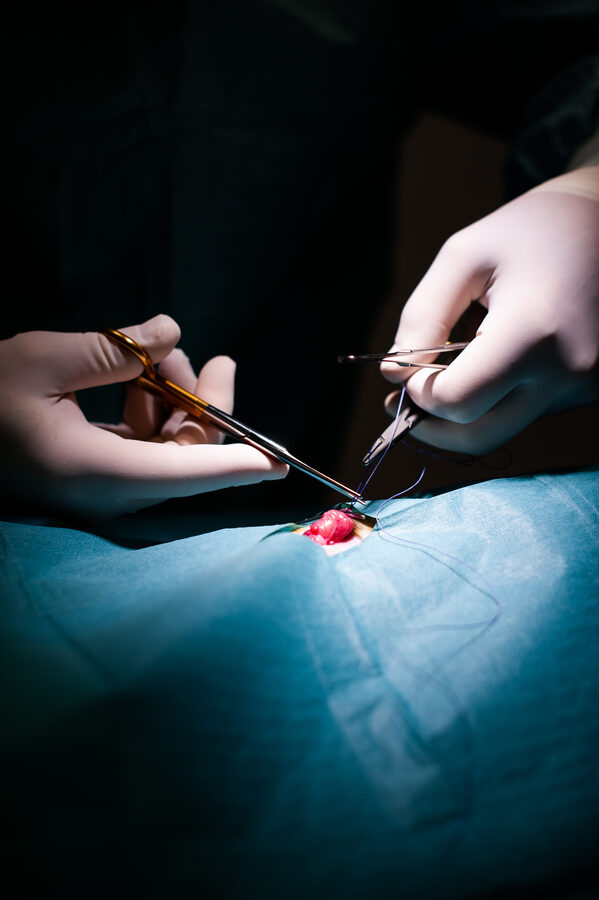 Cabinet vétérinaire de Capdenac