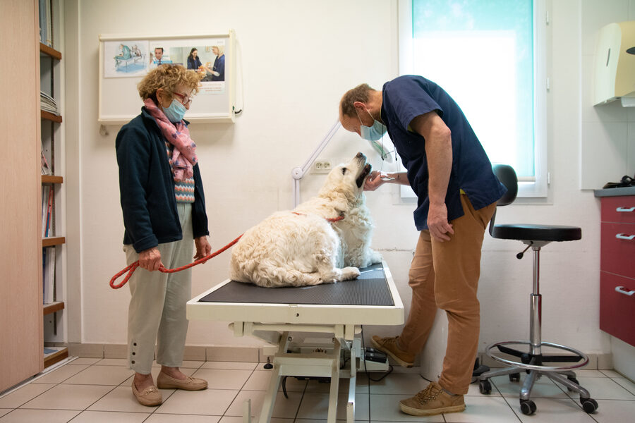 Cabinet vétérinaire de Capdenac