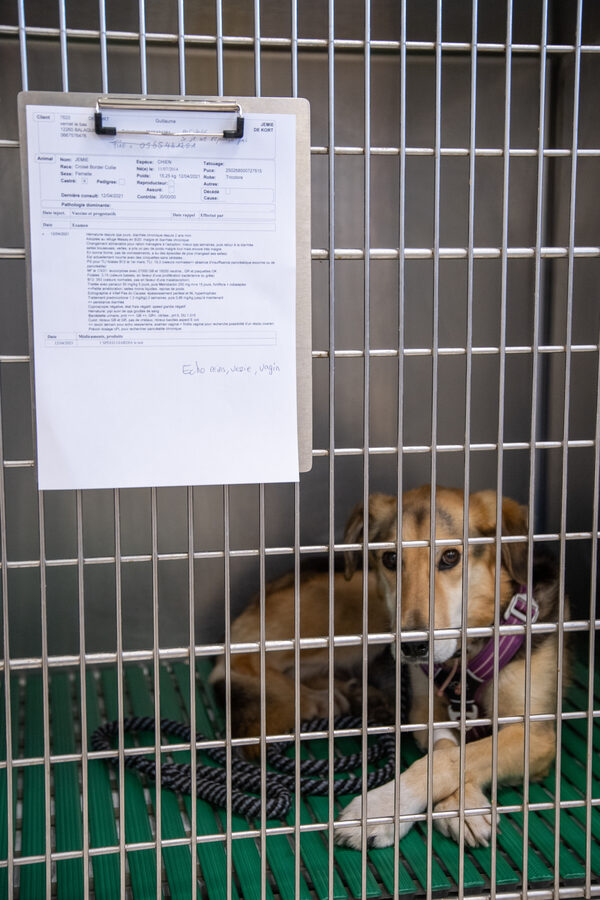 Cabinet vétérinaire de Capdenac