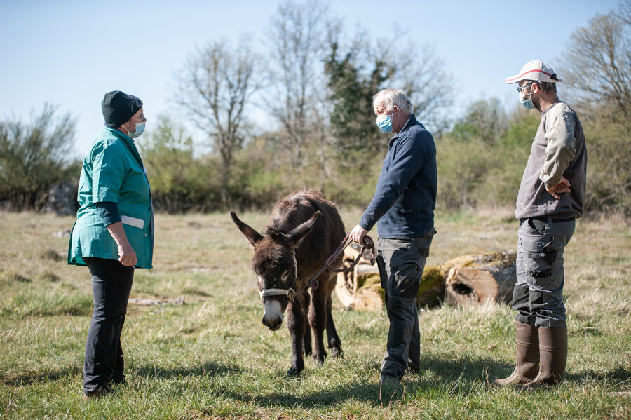 Cabinet vétérinaire de Capdenac