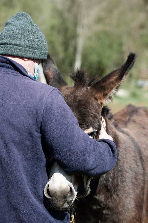 Cabinet vétérinaire de Capdenac