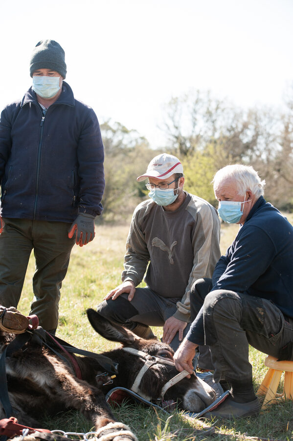 Cabinet vétérinaire de Capdenac