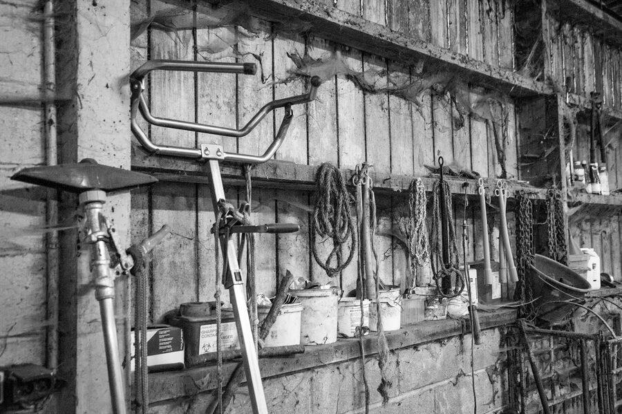 Clinique vétérinaire de Maroilles - 2018