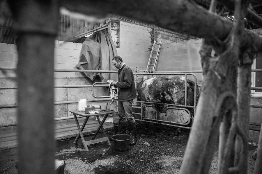 Clinique vétérinaire de Maroilles - 2018