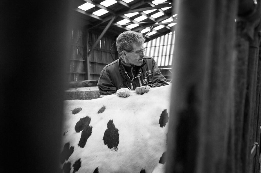 Clinique vétérinaire de Maroilles - 2018