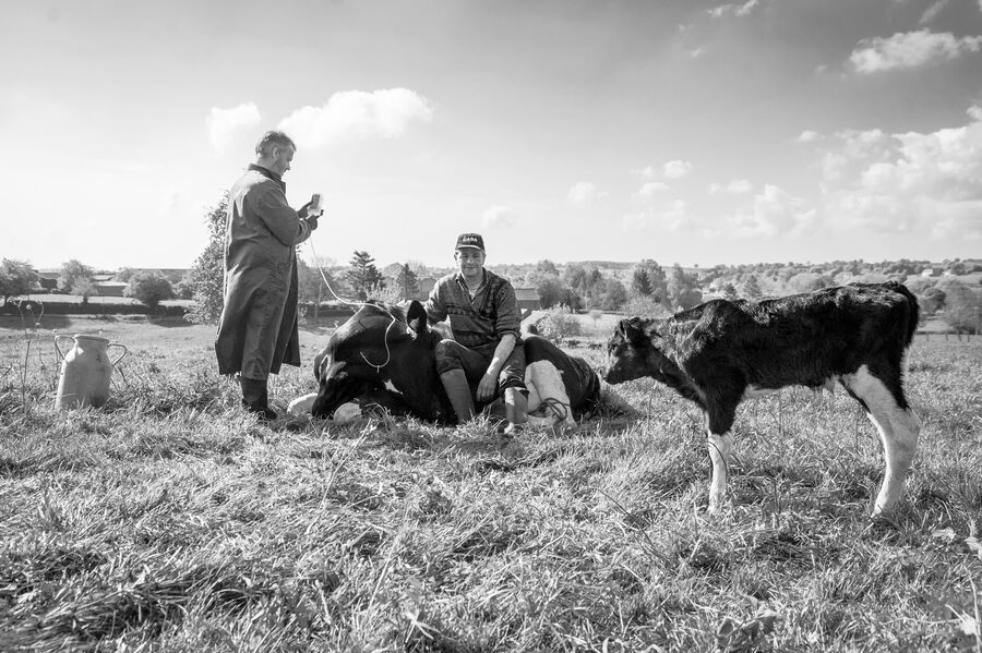 Clinique vétérinaire de Maroilles - 2018