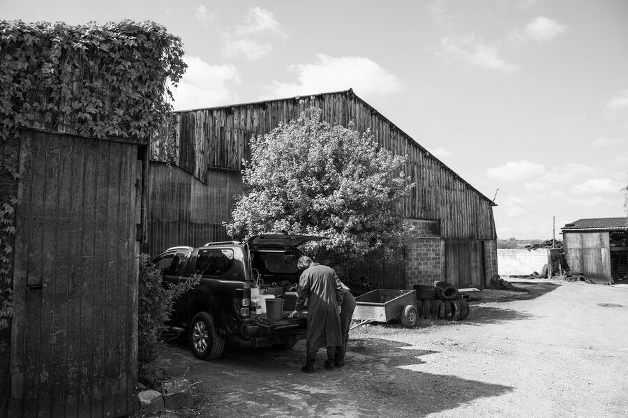 Clinique vétérinaire de Maroilles - 2018