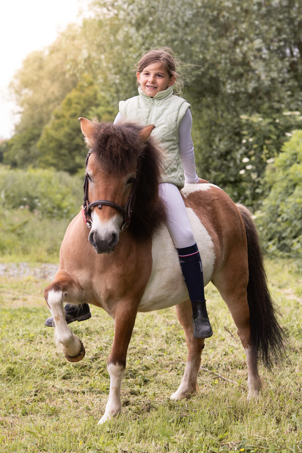 Séance photo équestre – Cavalier et cheval