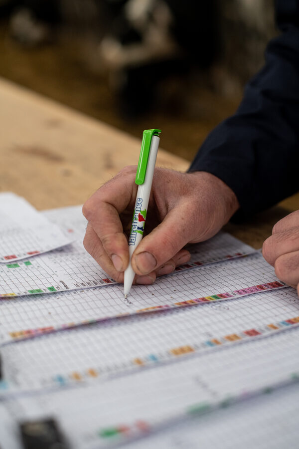 Faire France à la Laiterie de l'Avesnois