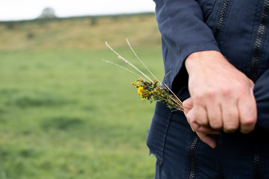 Faire France à la Laiterie de l'Avesnois