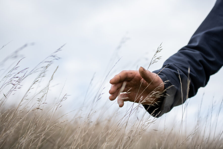 Faire France à la Laiterie de l'Avesnois
