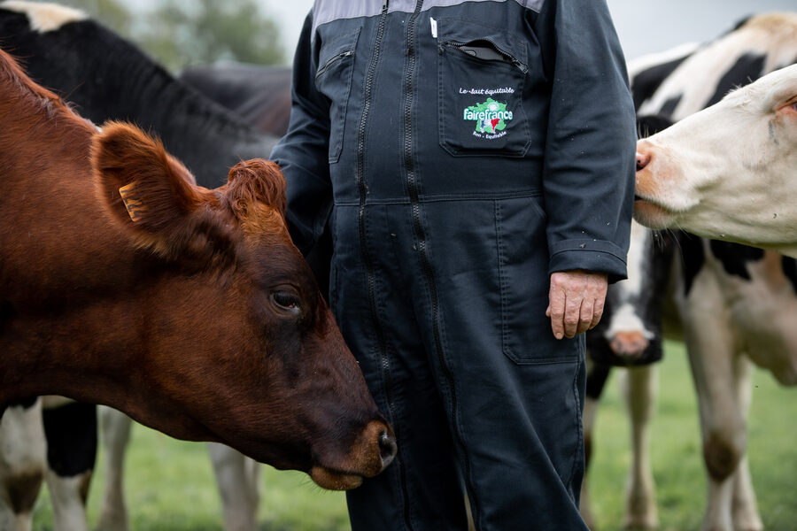 Faire France à la Laiterie de l'Avesnois