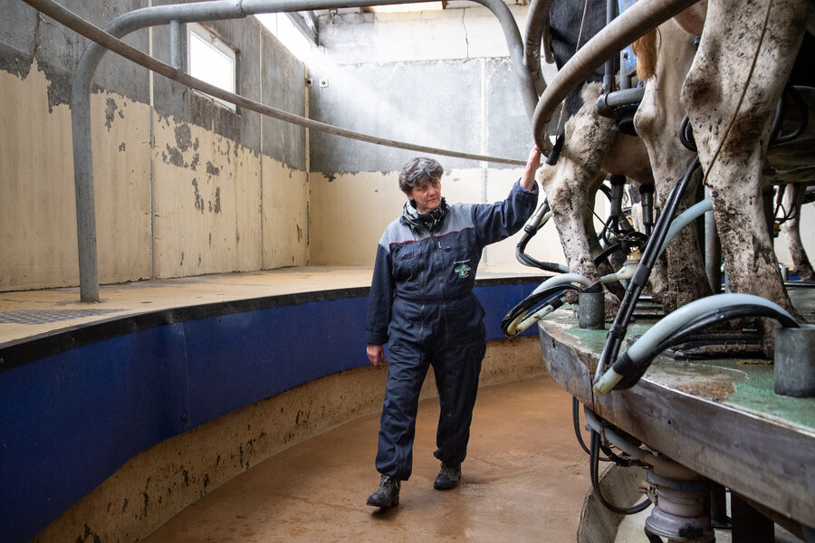 Faire France à la Laiterie de l'Avesnois
