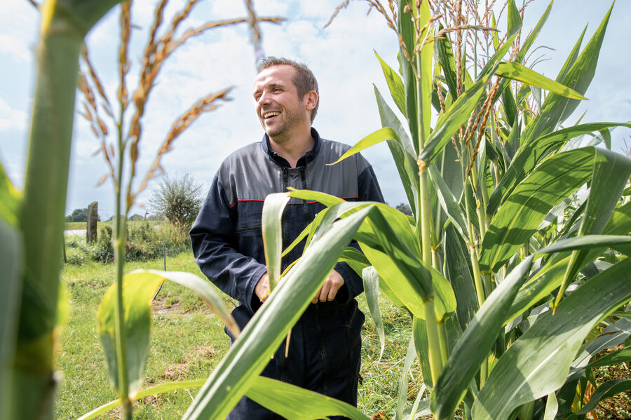 Faire France à la Laiterie de l'Avesnois