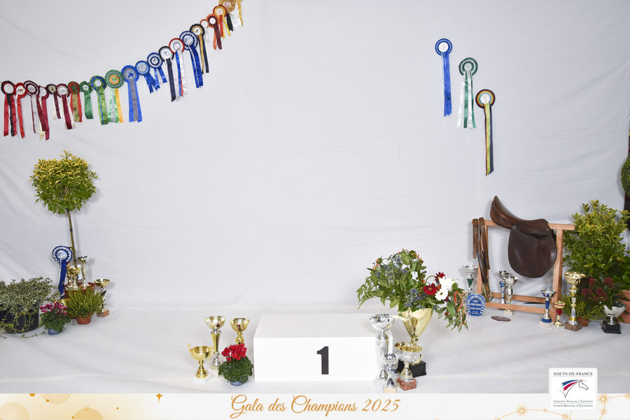 Gala des Champions 2025