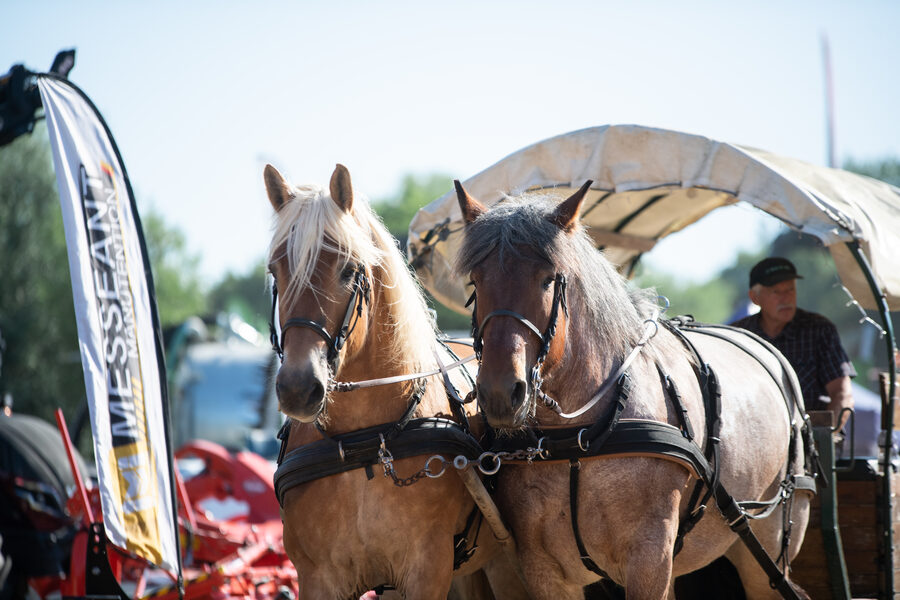Journées Régionales de l'Herbe en Avesnois