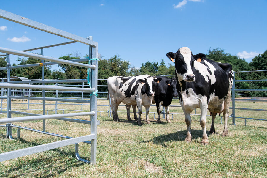 Journées Régionales de l'Herbe en Avesnois