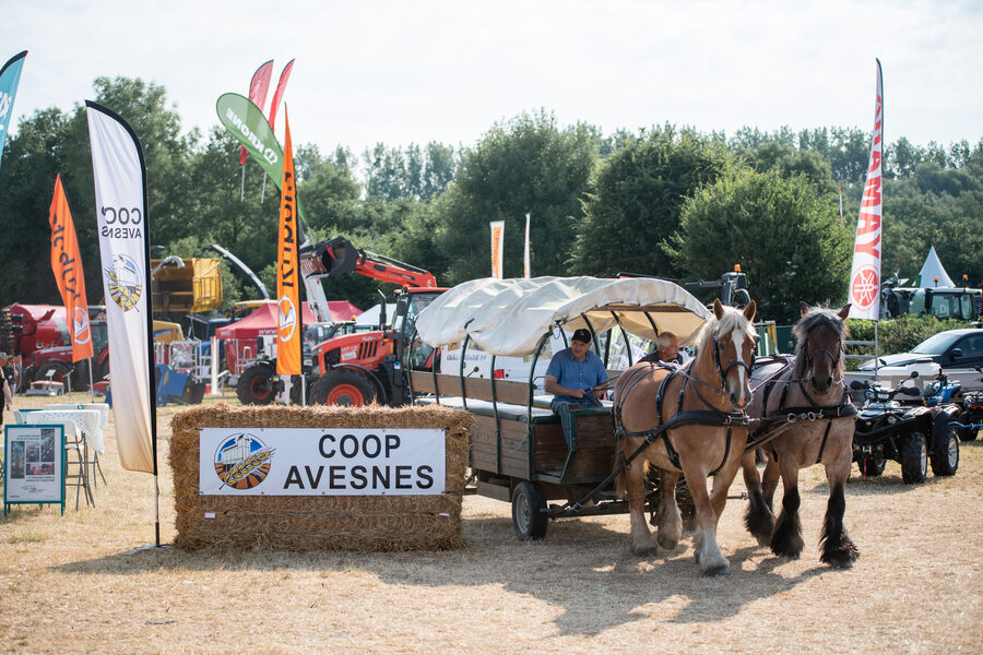 Journées Régionales de l'Herbe en Avesnois