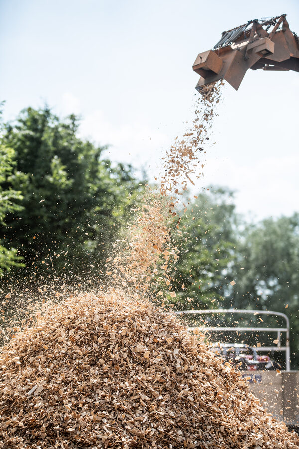Journées Régionales de l'Herbe en Avesnois