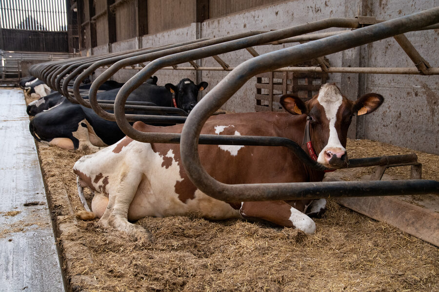 La Ferme du Tout vent