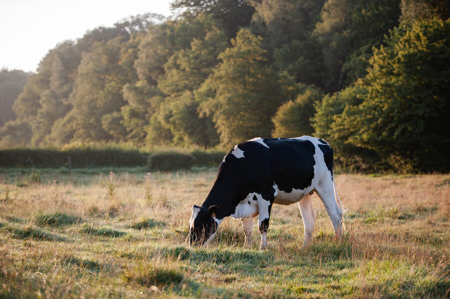 La Ferme du Tout vent