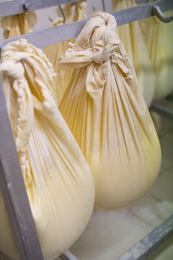 La Ferme du Tout vent