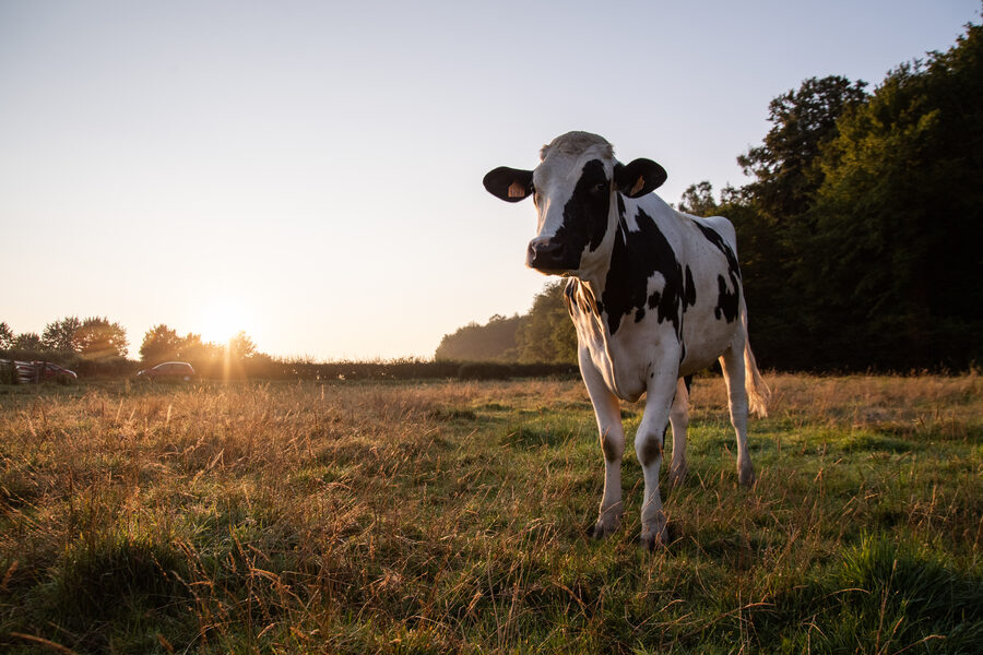 La Ferme du Tout vent