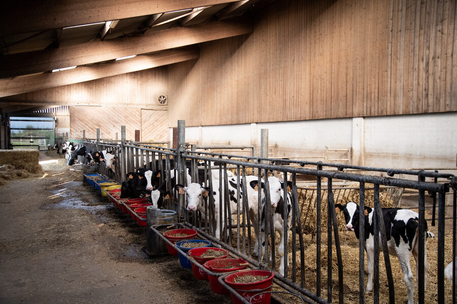 La Ferme du Tout vent