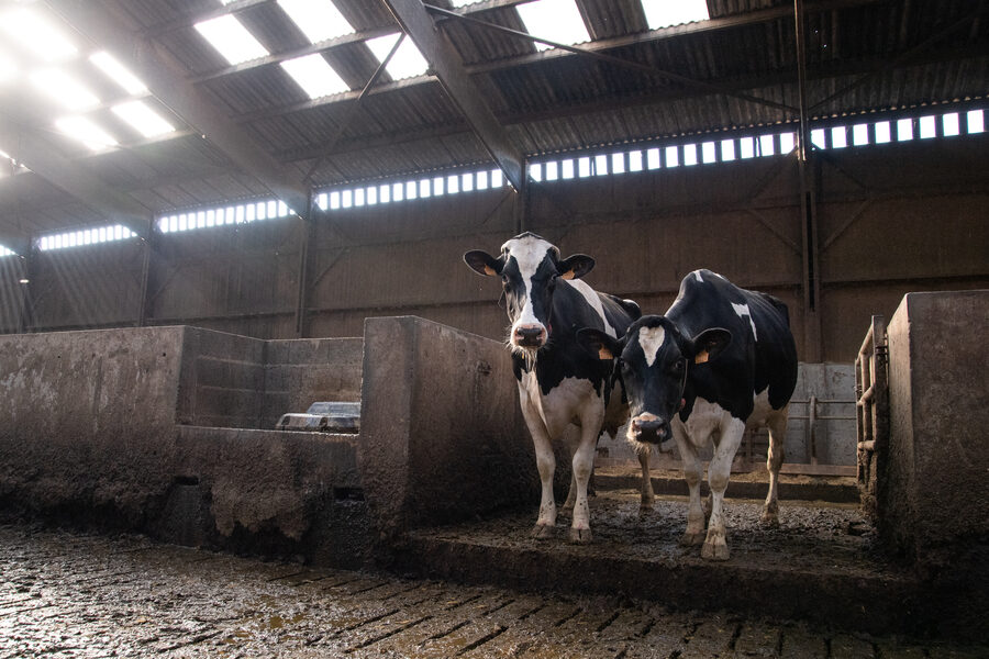 La Ferme du Tout vent