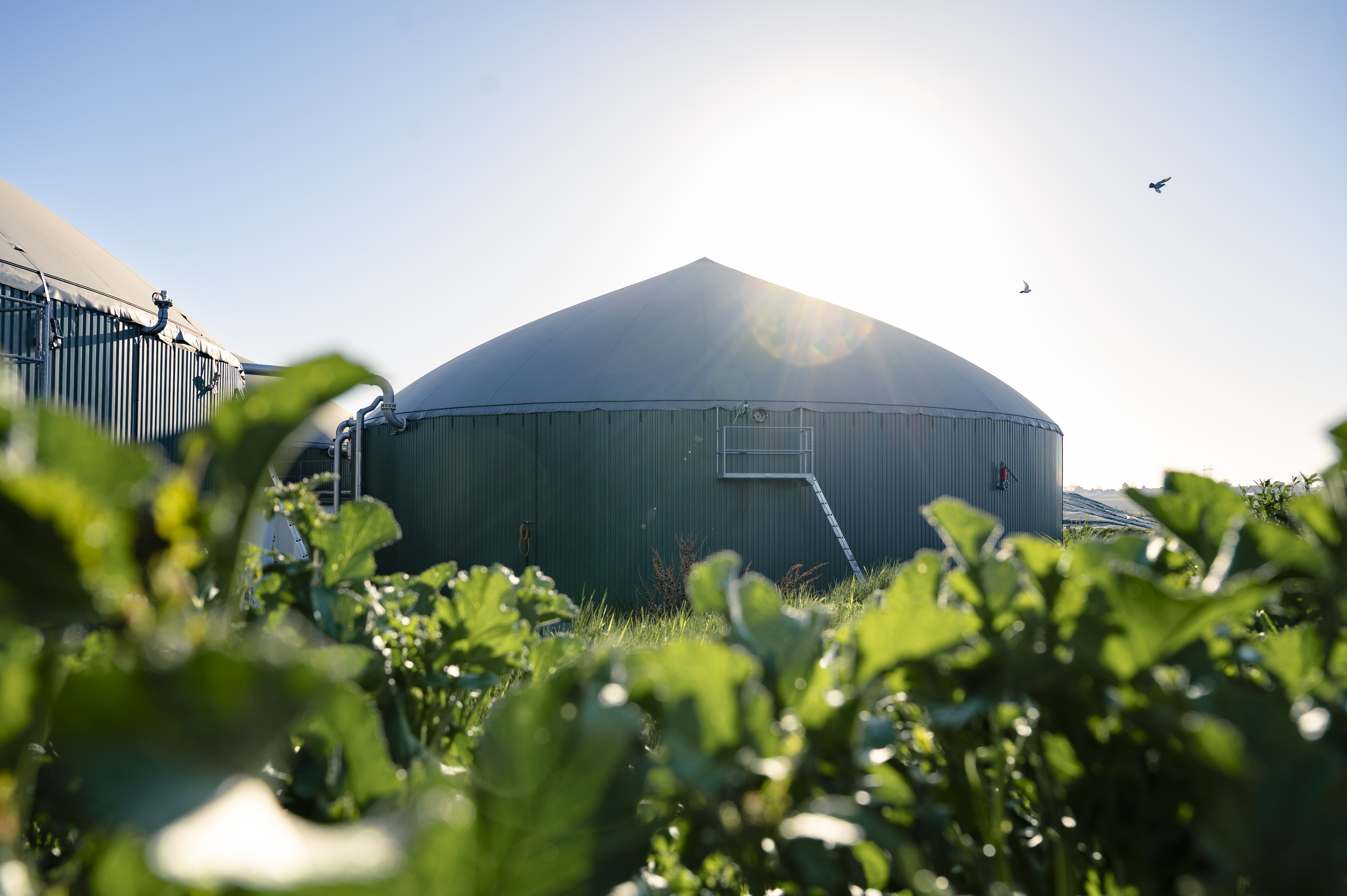 La méthanisation par GRDF