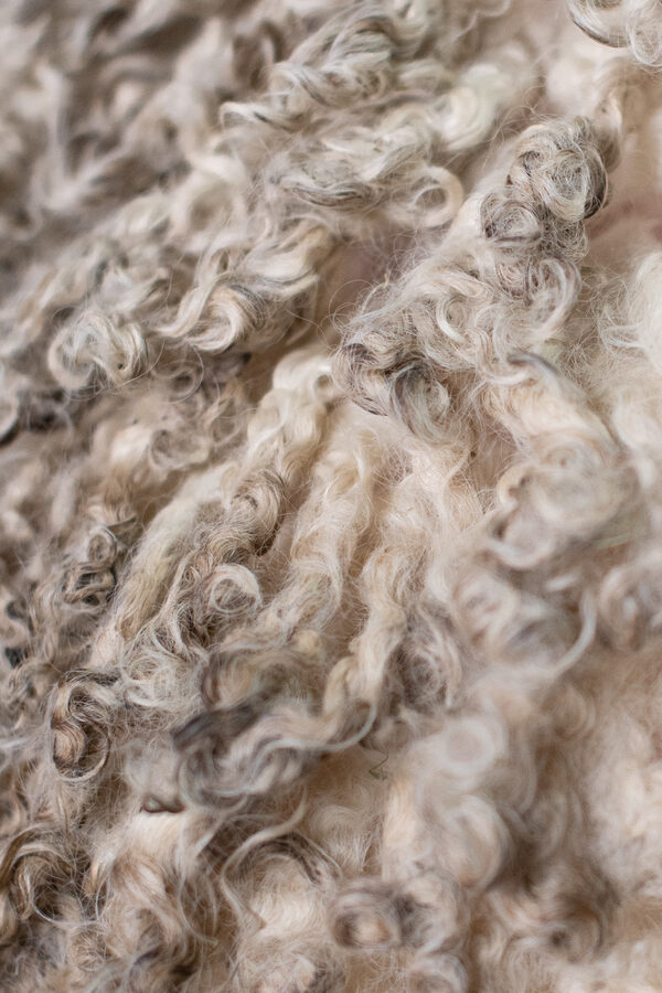 Le Mohaire de Mormal