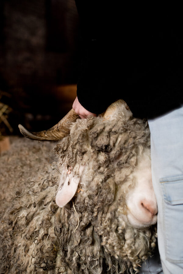 Le Mohaire de Mormal