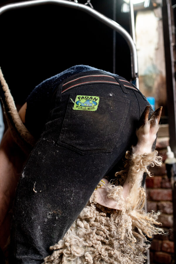 Le Mohaire de Mormal