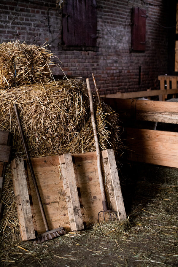 Le Mohaire de Mormal