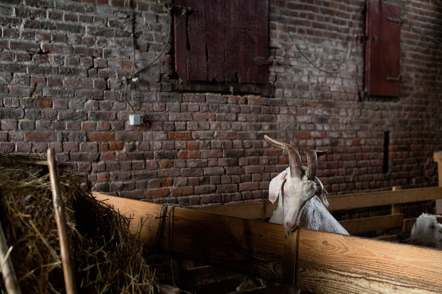 Le Mohaire de Mormal