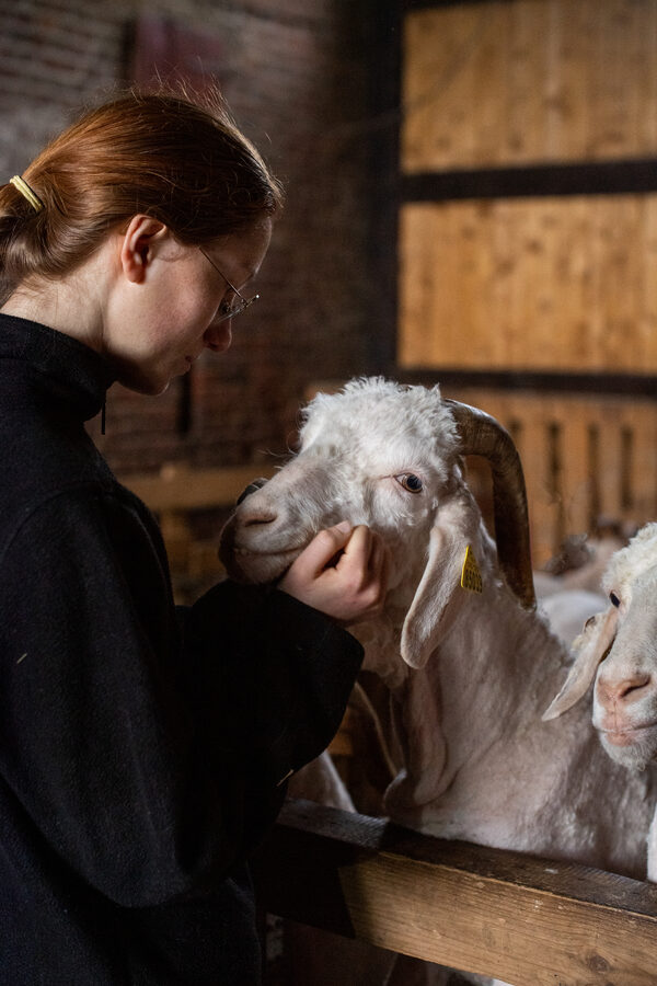 Le Mohaire de Mormal