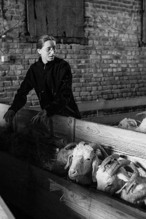 Le Mohaire de Mormal