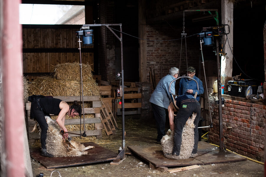 Le Mohaire de Mormal